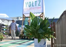 De Voltz Horticulture stand. 